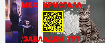 шишки Кингисепп