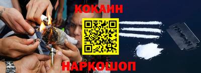 шишки Кингисепп