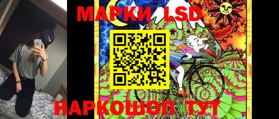 шишки Кингисепп