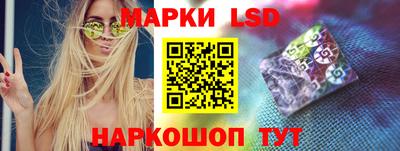 шишки Кингисепп