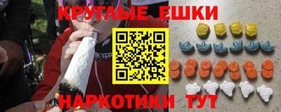 шишки Кингисепп