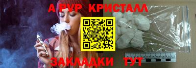 шишки Кингисепп
