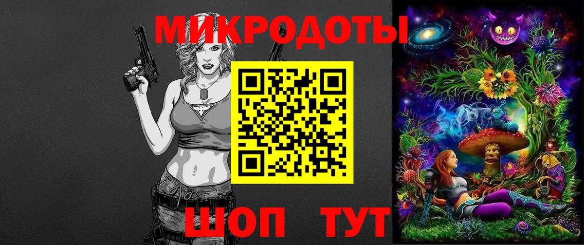 Курчатов  Псилоцибиновые грибы Psilocybine cubensis  Вход с VPN 