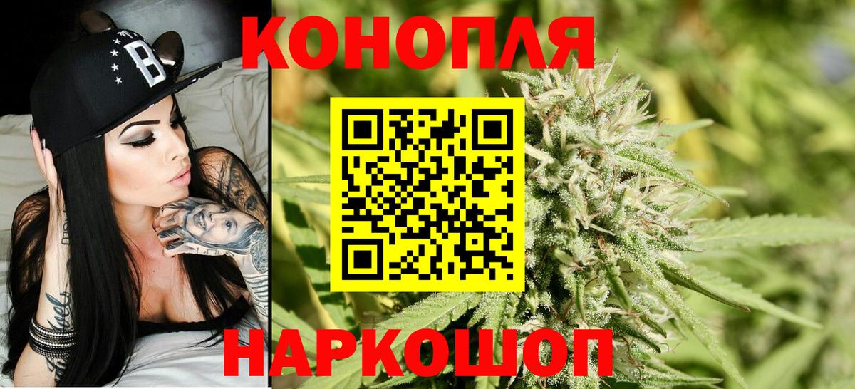 Конопля гибрид Курчатов